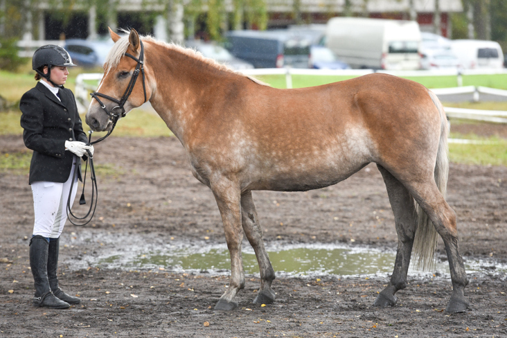 emä Kelokorven Elvira