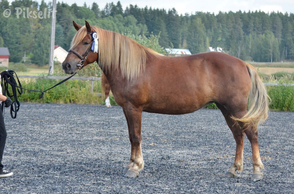 emä Routapirtin Usvana