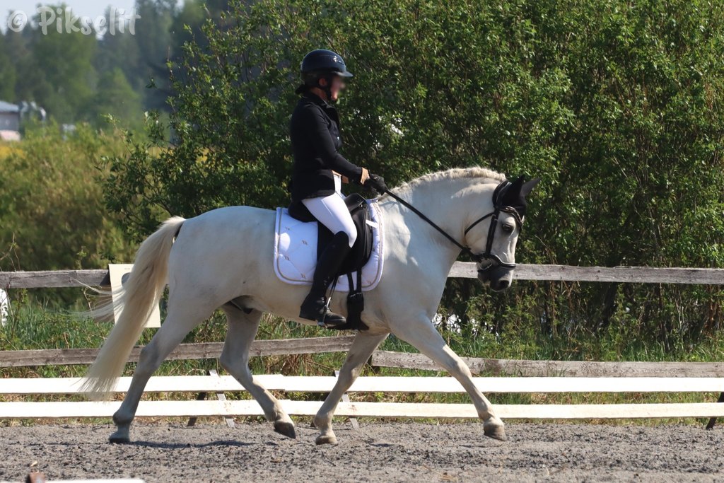 isä Routapirtin Kaspian