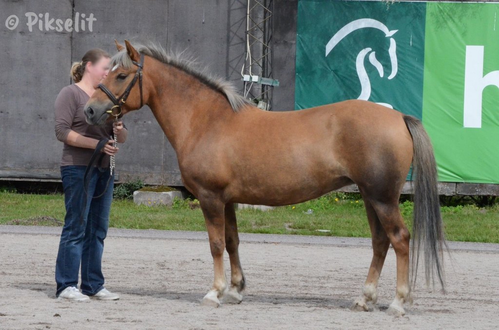 emä Piirron Poutapisara